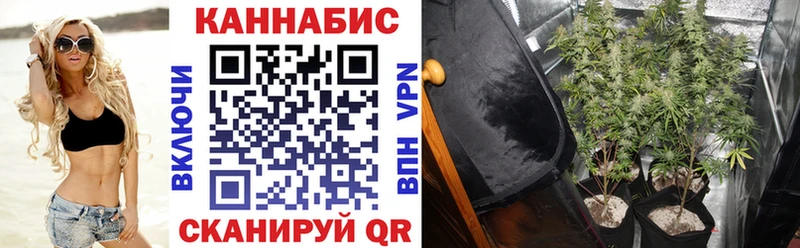 Что такое Подпорожье мега ONION МАРИХУАНА Кокаин A PVP ТГК