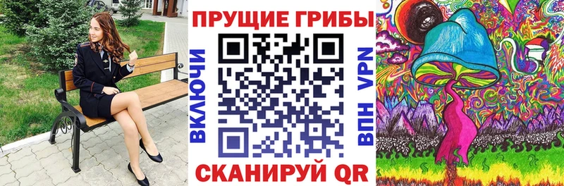 Псилоцибиновые грибы Psilocybine cubensis  Подпорожье 
